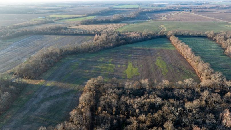 DJI_20260309075831_0010_D