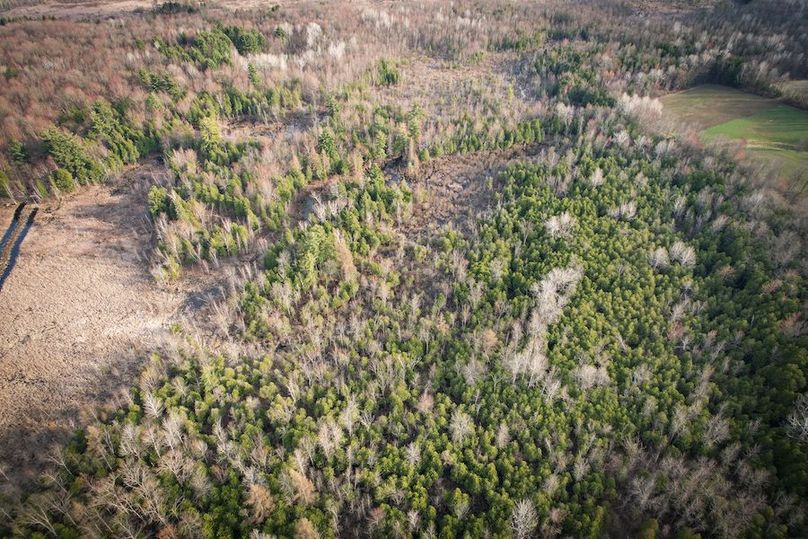 StLawrence_142.7_Bosse_Photos_25