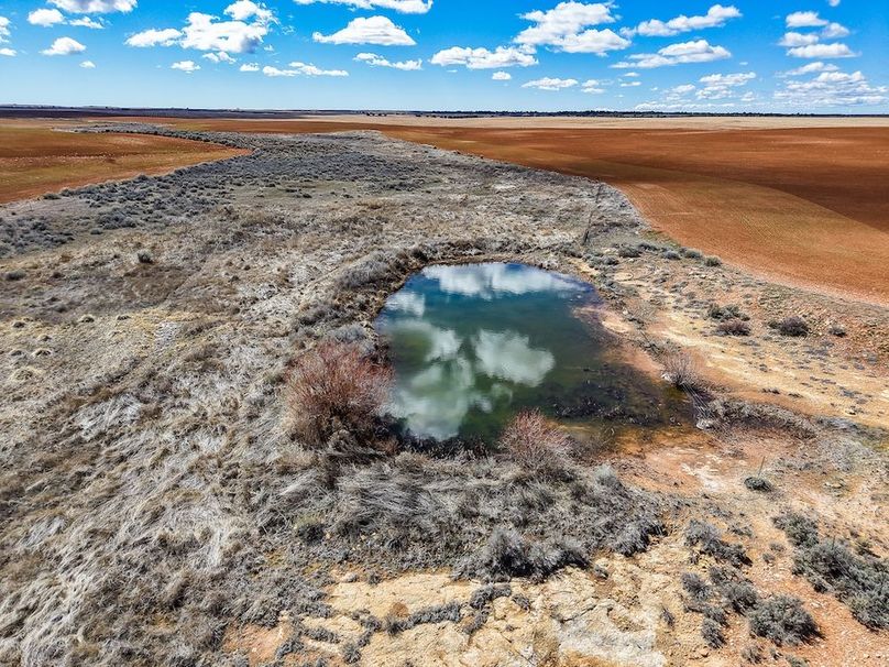 DJI_20260307125126_0083_D