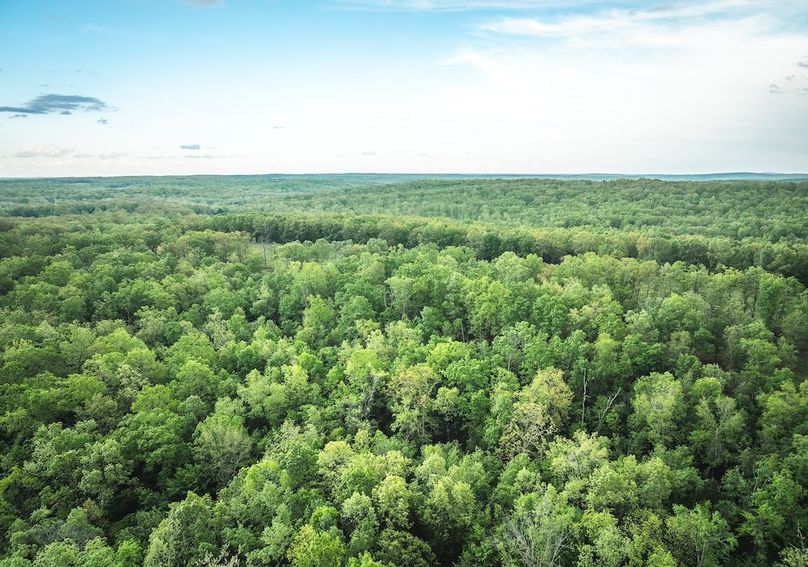 DJI_20250501182335_0335_D