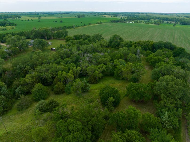 20230629-DJI_0714