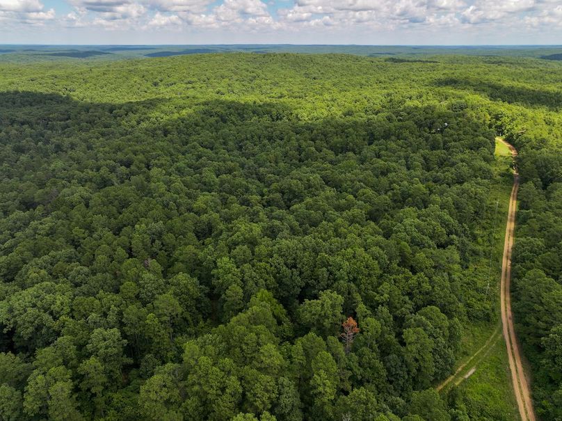 DJI_20250709130200_0425_D