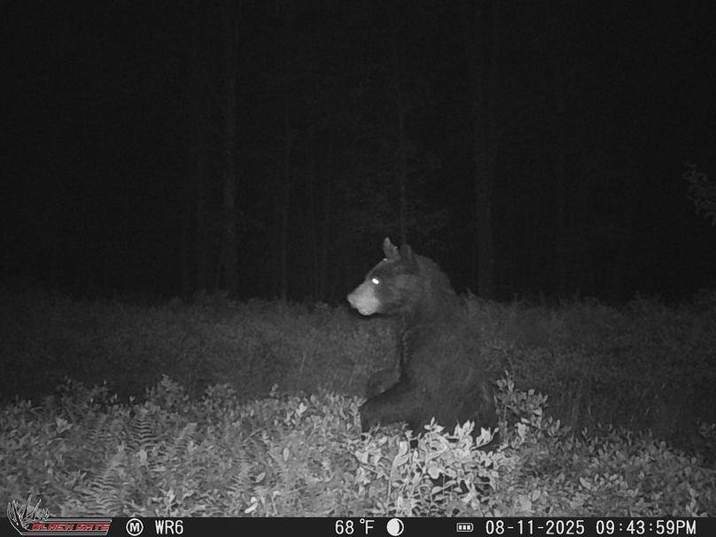 E7816A75-E3B4-4C6F-9C8B-6047E9D2858E_1_105_c