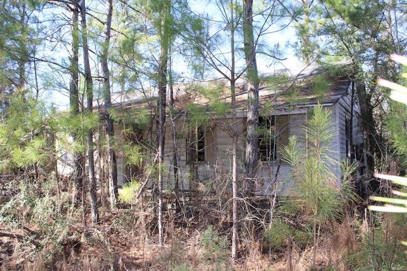 D821FCA6-960A-45FF-95F1-50E81815E2FC_1_105_c