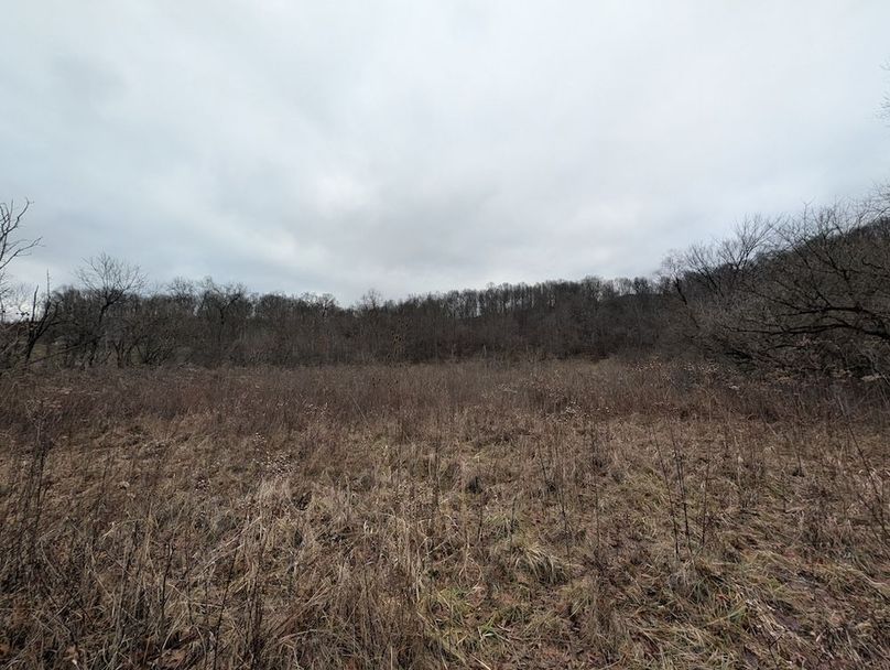 PXL_20260107_184439490.MP