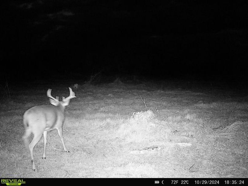 864049056421433-100-3-10292024183524-W1000986