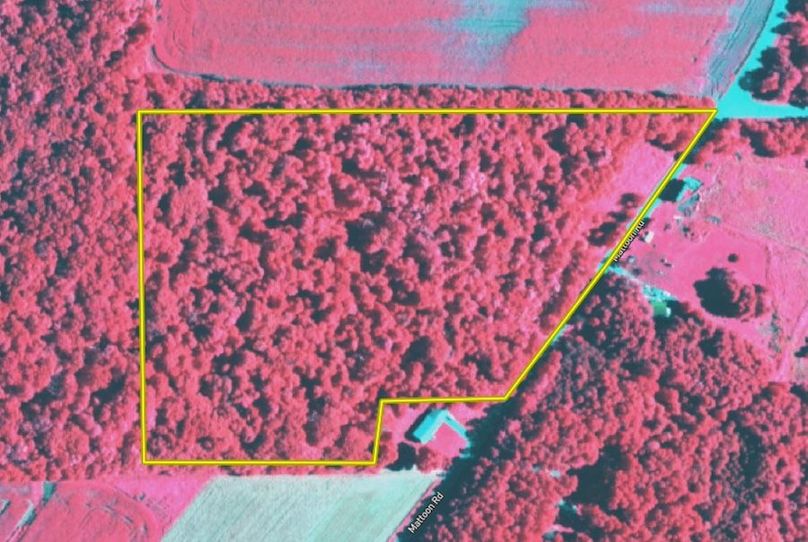 Land ID Infrared