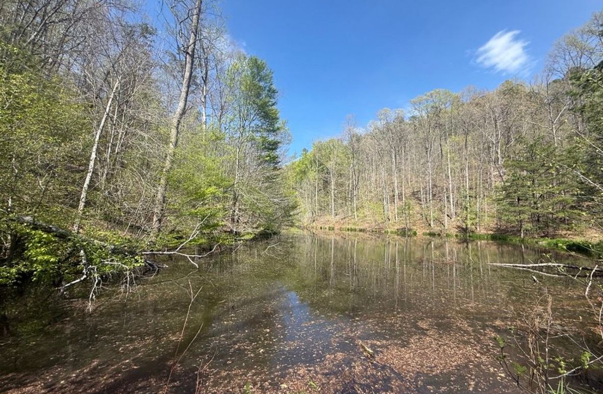 001 awesome view of the pond from the left front corner of the dam