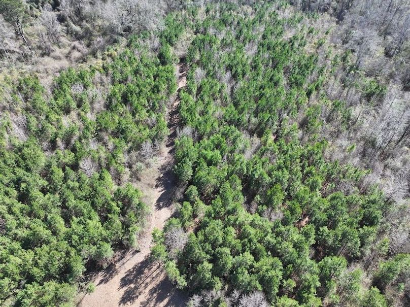 dji_fly_20260302_130300_0336_1772559702129_photo