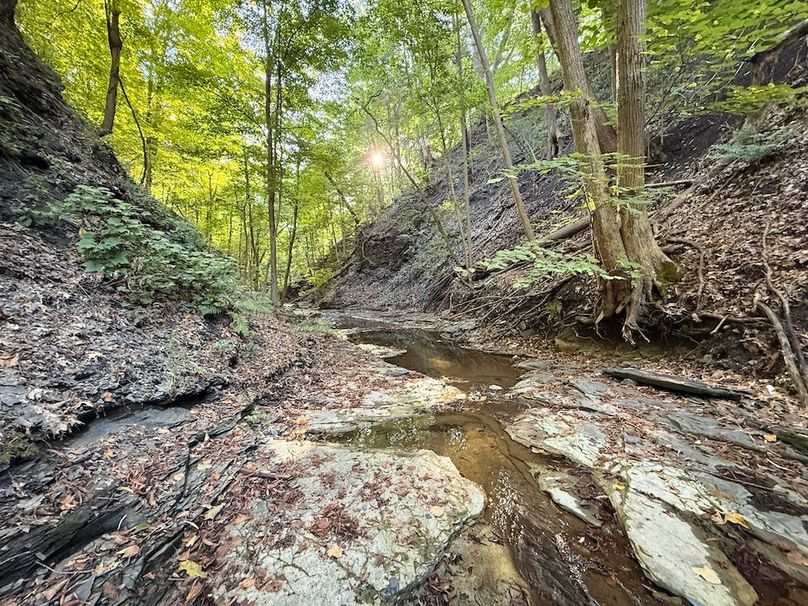 Seneca_65_Engels Photo 43