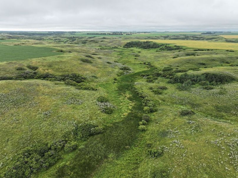 DJI_20250704133526_0610_D