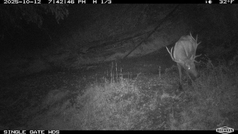 9B24538D-11A6-43B1-AE8A-3D2219D3E636