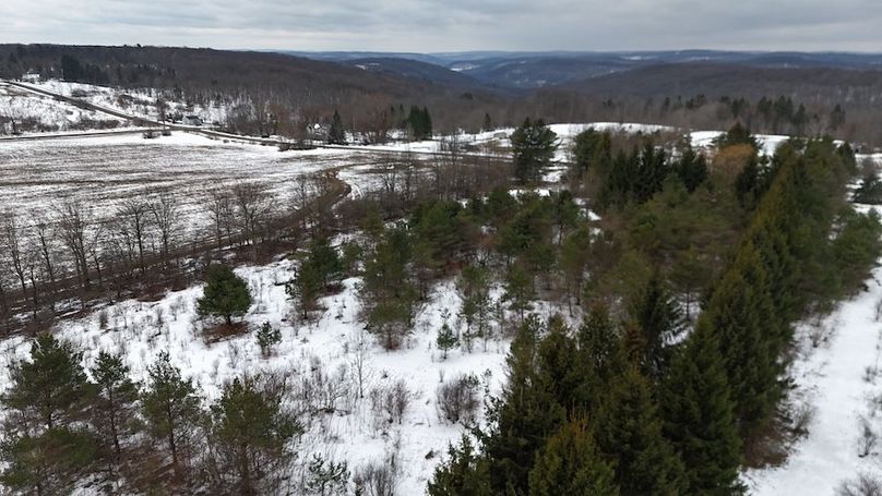 15 DJI_20260115004832_0003_D