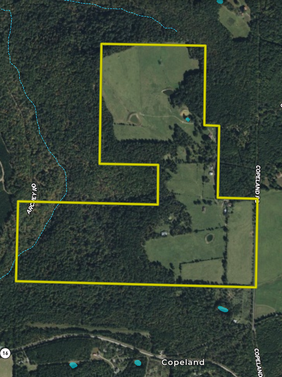 Screenshot 2025-12-13 at 11.08.41 AM