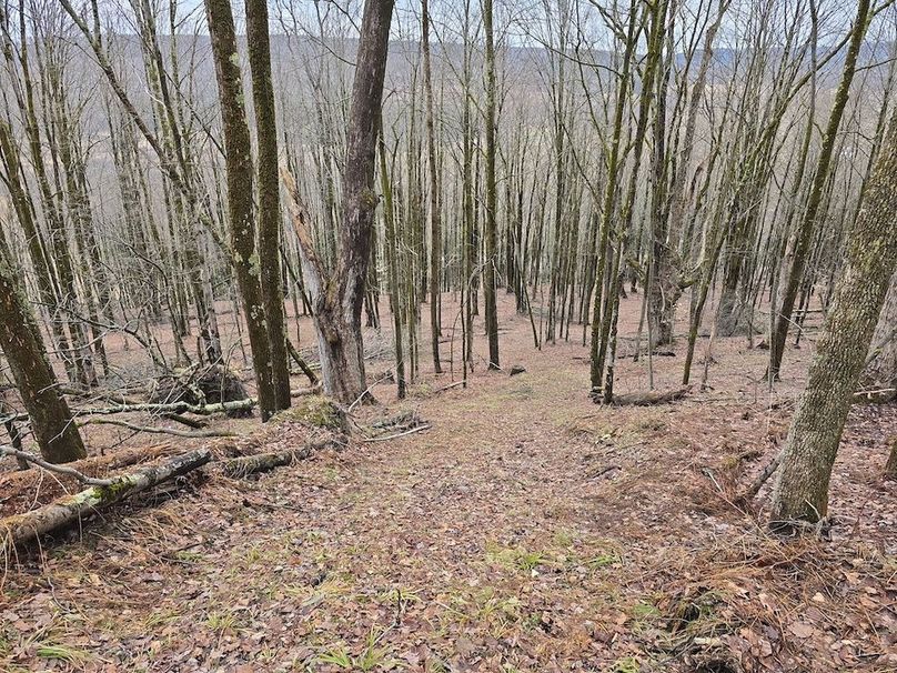 photo_7a22594b-230e-45d3-80c0-5d5b3237ab4d