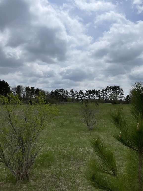 St.Croix4.56Conway-008