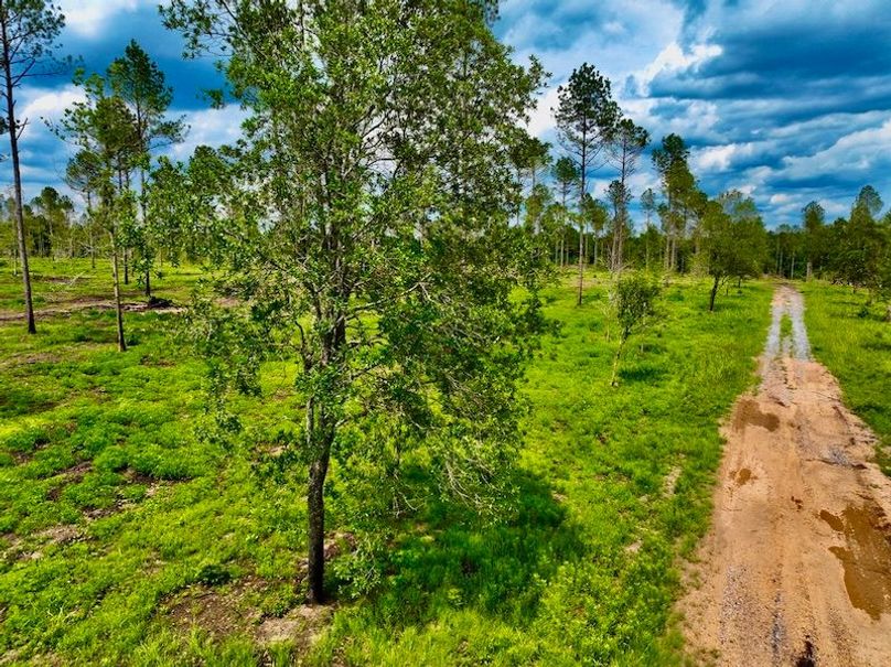 CD95A67B-7633-4150-8CE4-6B0467CADEF4_1_105_c