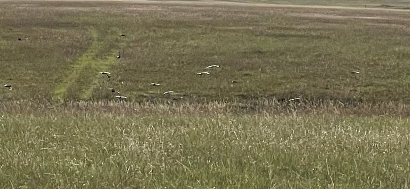 aa8b2448-0681-429a-a09b-f767e0165fb5