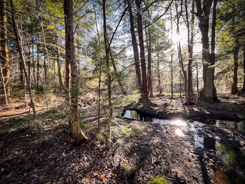 Oswego_17.88_Feld_Photos_35