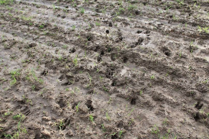 7FAB6FCA-B3F7-4EC7-9E46-4573DA3C4FE8_1_105_c