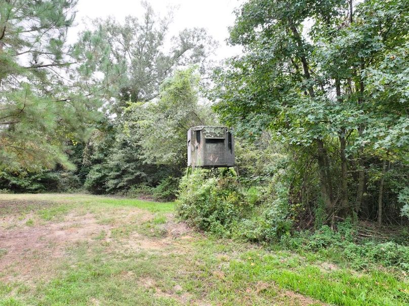 dji_fly_20250924_092254_0511_1758726294164_photo