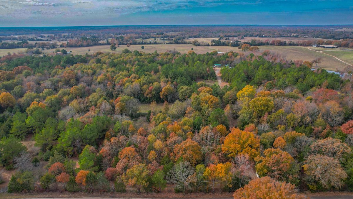 Hunting And Recreation Hideaway In East Texas Whitetail Properties