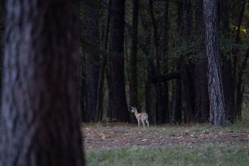 22 harrison 417ac pics-040