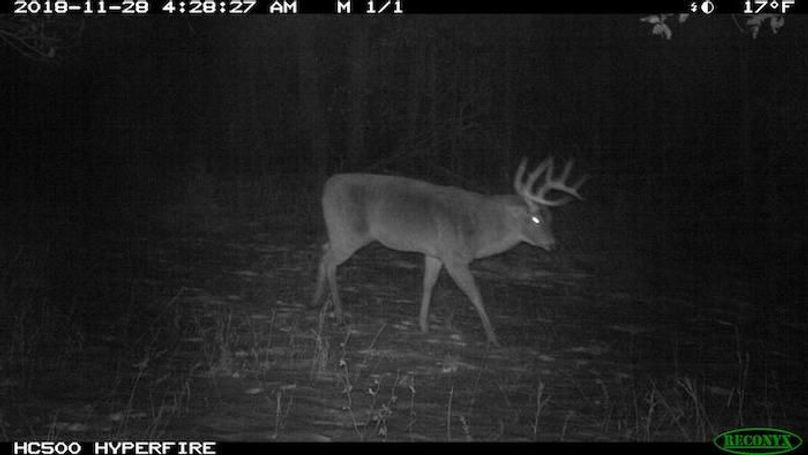 2018-11-28 04-28-27 M 1_1