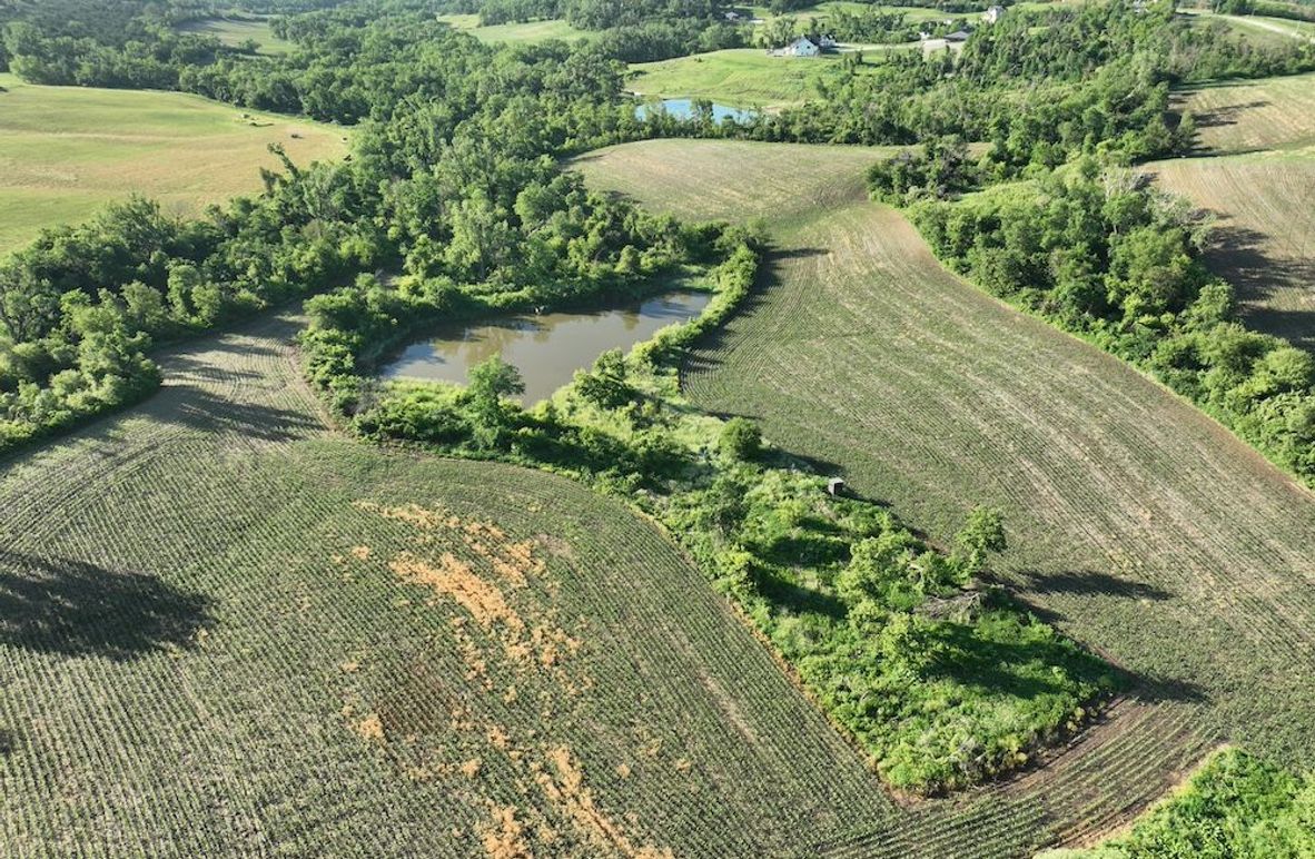 dji_fly_20260601_075840_516_1780319382743_photo