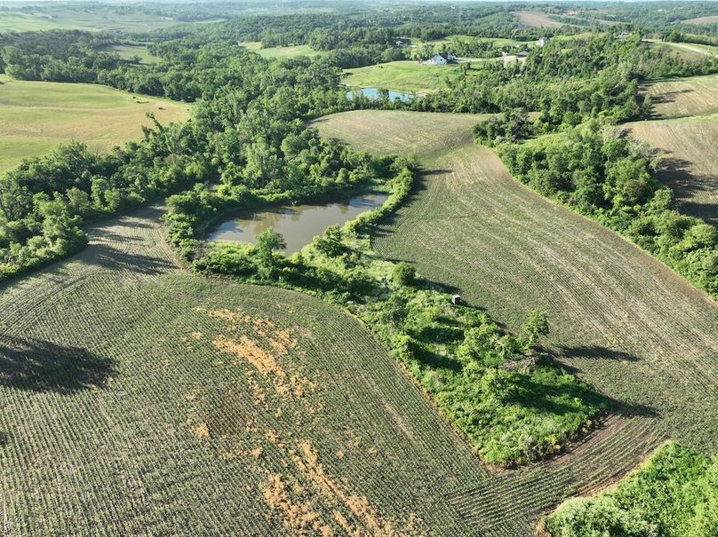 dji_fly_20260601_075840_516_1780319382743_photo