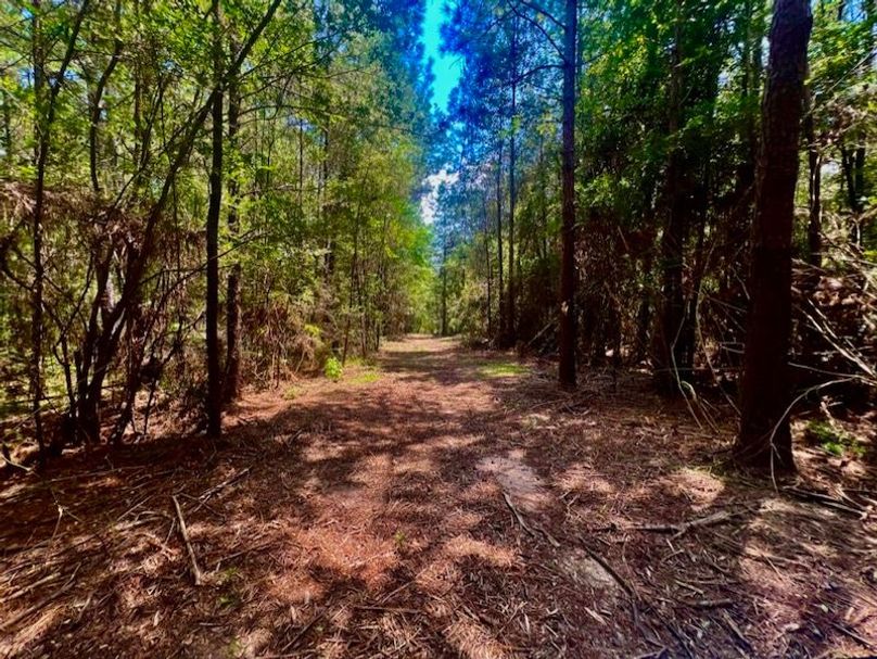 FED0352E-FFC4-4CC4-846F-A3B51BE52EDD_1_105_c