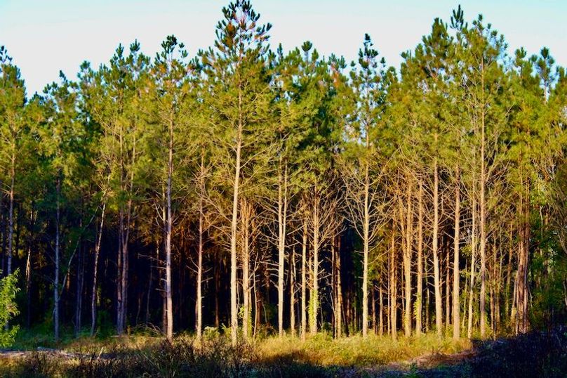 A70F40B3-ACE7-47D0-A685-3694A9B2CB2E_1_201_a