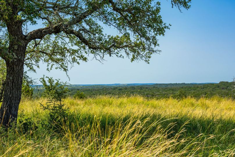 21-web-or-mls-DSC08012