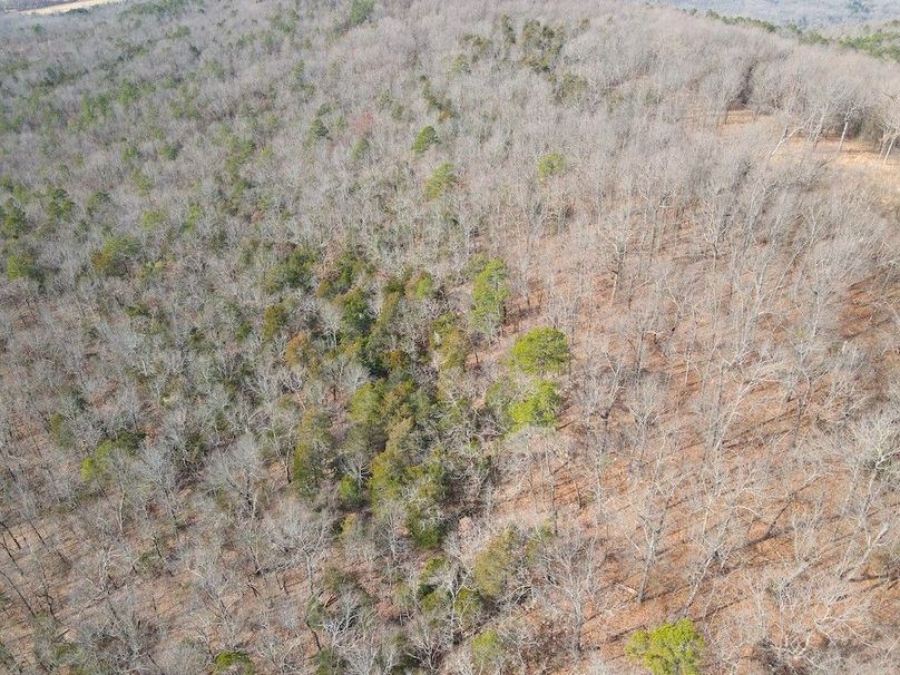 DJI_0642