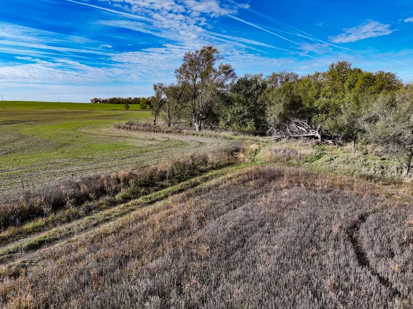 Dickinson Co, 154.5_032