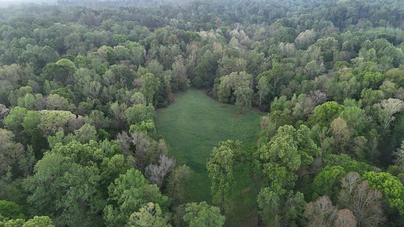 Claiborne Co-314-Fernandez-100