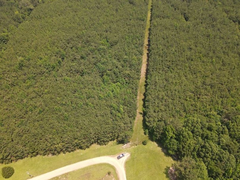 Copy of DJI_0883