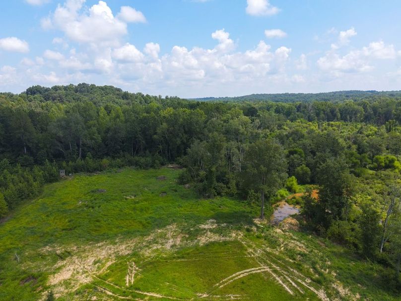 dji_fly_20250729_115004_833_1753804233713_photo