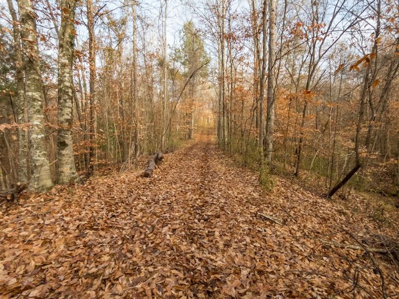 Claiborne Co - 274 - Marian-084