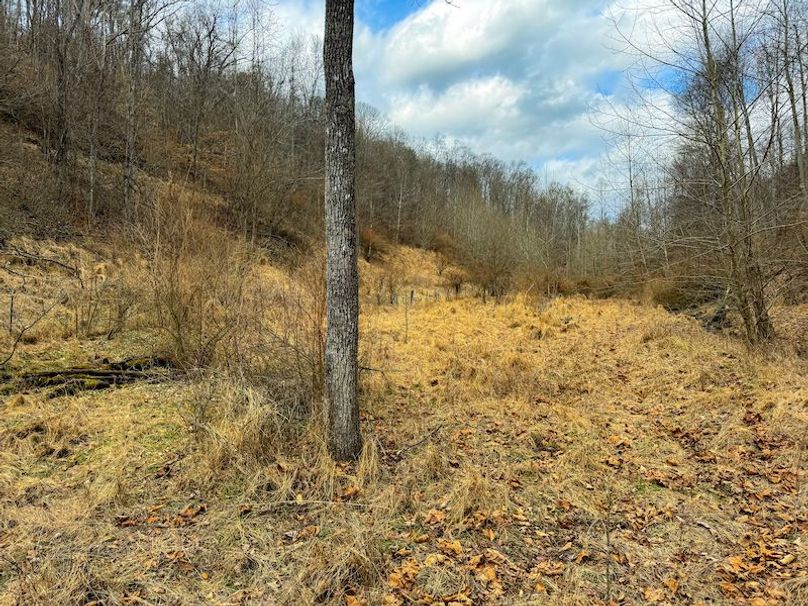 Doddridge, WV 79.08 AC Adams-78