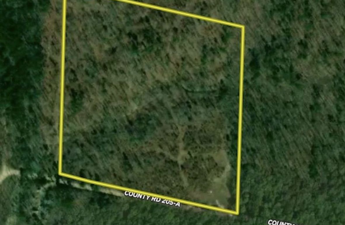 Screen Shot 2025-04-30 at 8.12.42 PM