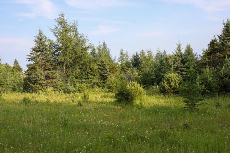 Mackinac20Fewins-6123