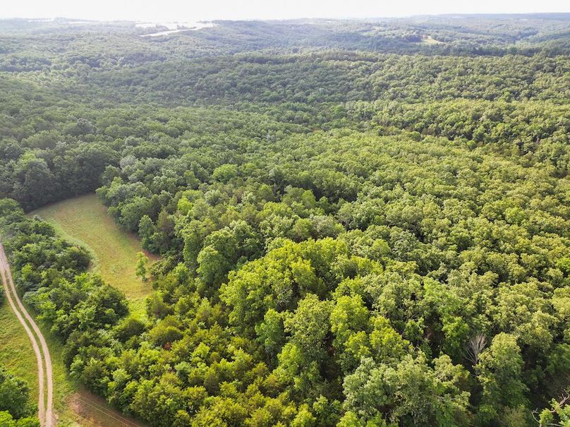 DJI_20260602075608_0245_D