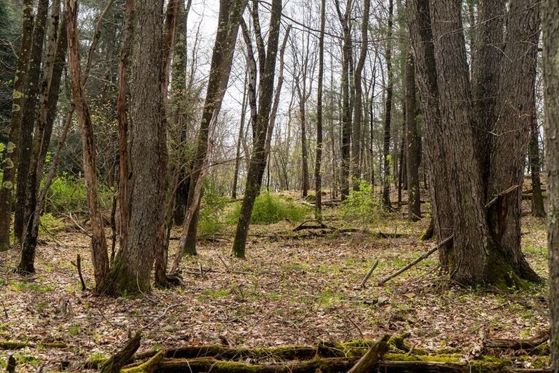Clarion River-73