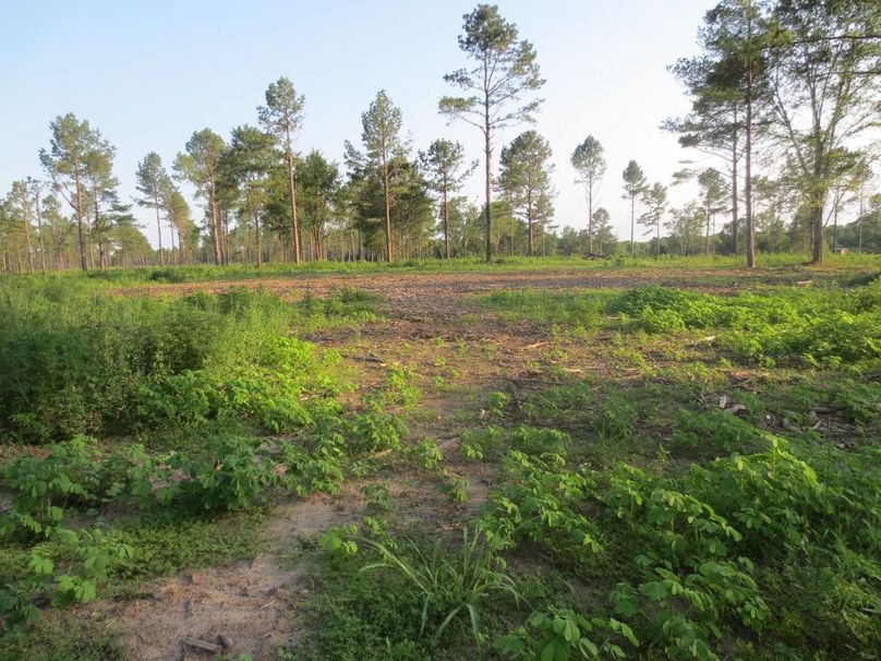 30FE5F96-8B1B-4F5A-8183-EDB1AECFE2B3_1_105_c