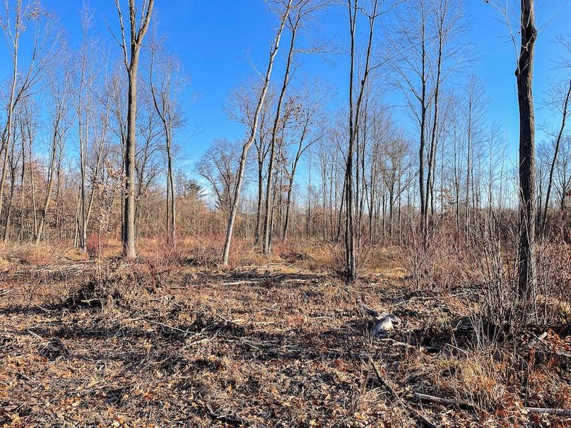 ClarK 160 WILLIAMS -20