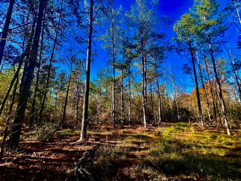 820E83C4-EB00-43DC-940E-5354E9BDE506_1_201_a