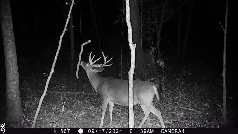 Trail Cam.12