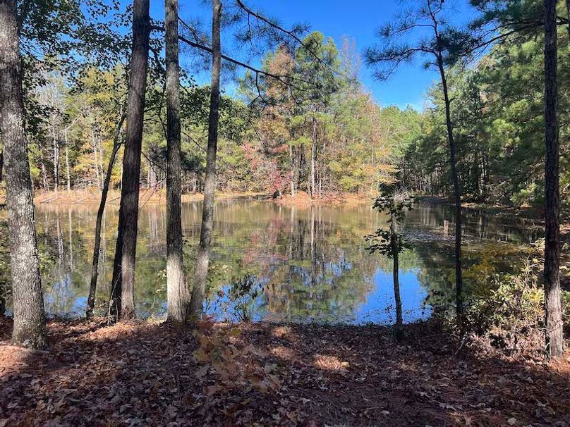 jeff 5020251111_0336