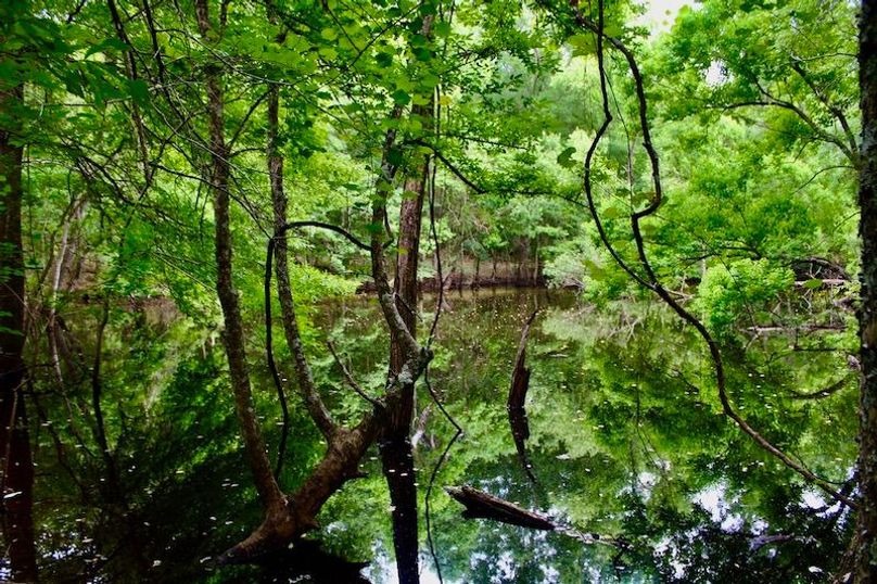 3F2145C0-C673-44F9-9888-414D19AF4EEA_1_105_c